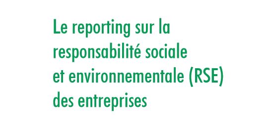 rse n°2 rporting